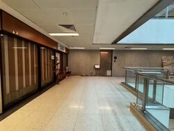 Cuppage Plaza (D9), Shop House #496945481